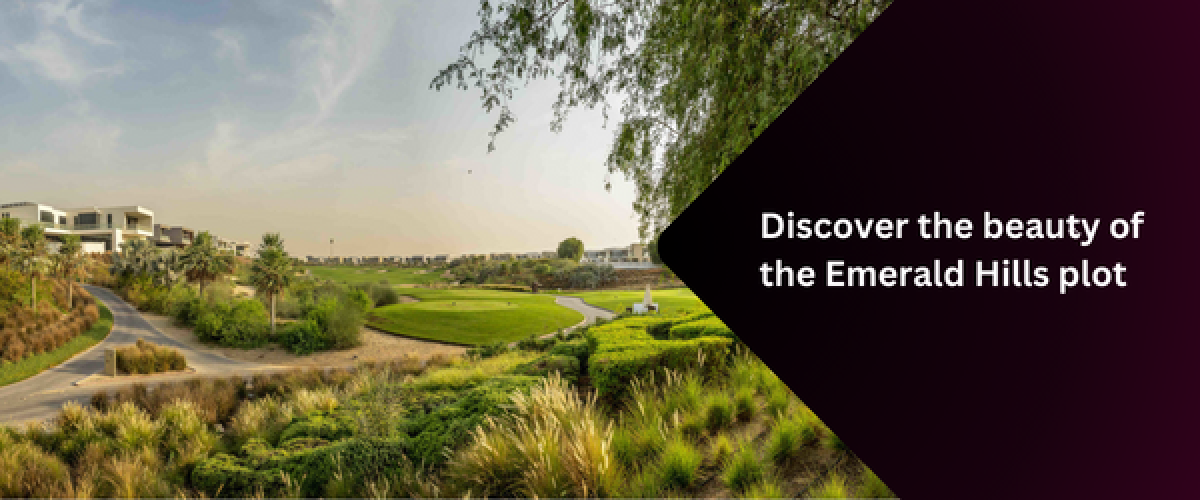 discover-the-beauty-of-the-emerald-hills-plot