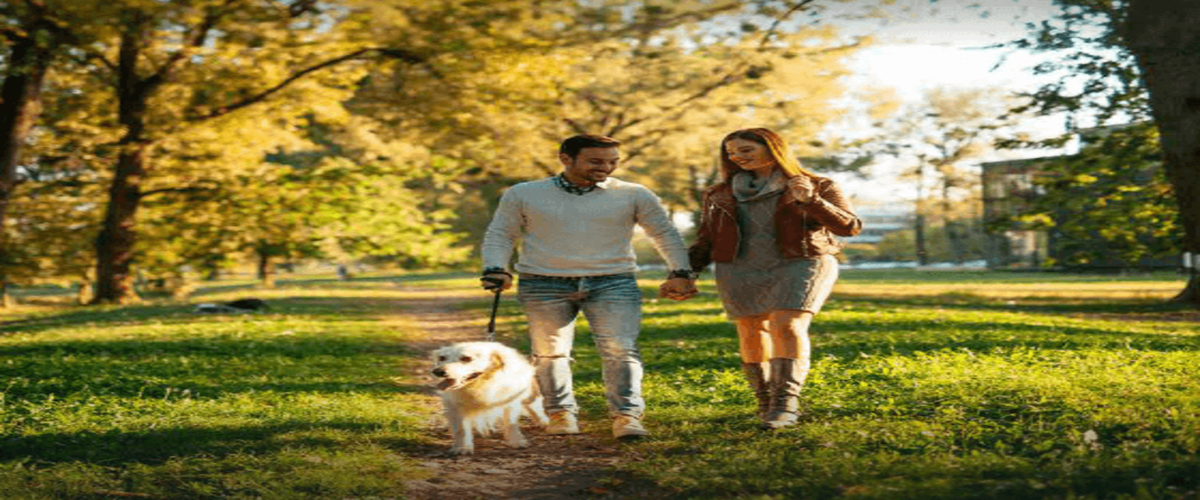 godrej-zenith-where-luxury-meets-wellness-in-the-heart-of-gurgaon