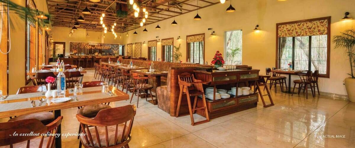 reveling-in-opulence-the-unveiling-of-central-park-bignonia-towers-in-sohna-gurugram