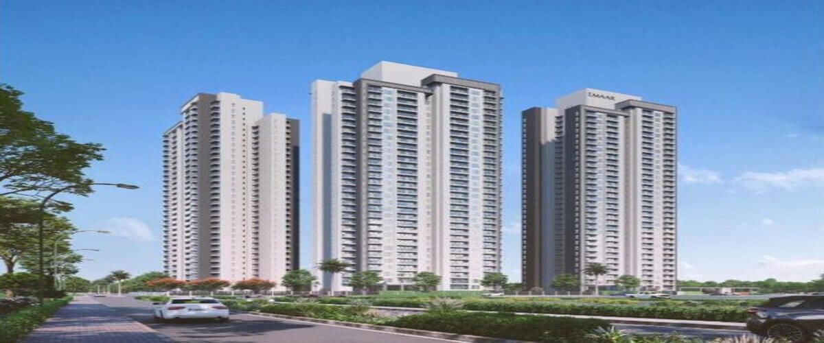 what-are-the-common-concerns-about-dlf-the-dahlias