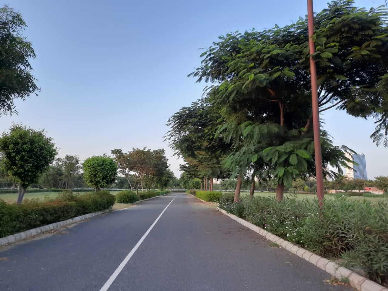 adani-plots-sector-65-gurgaon